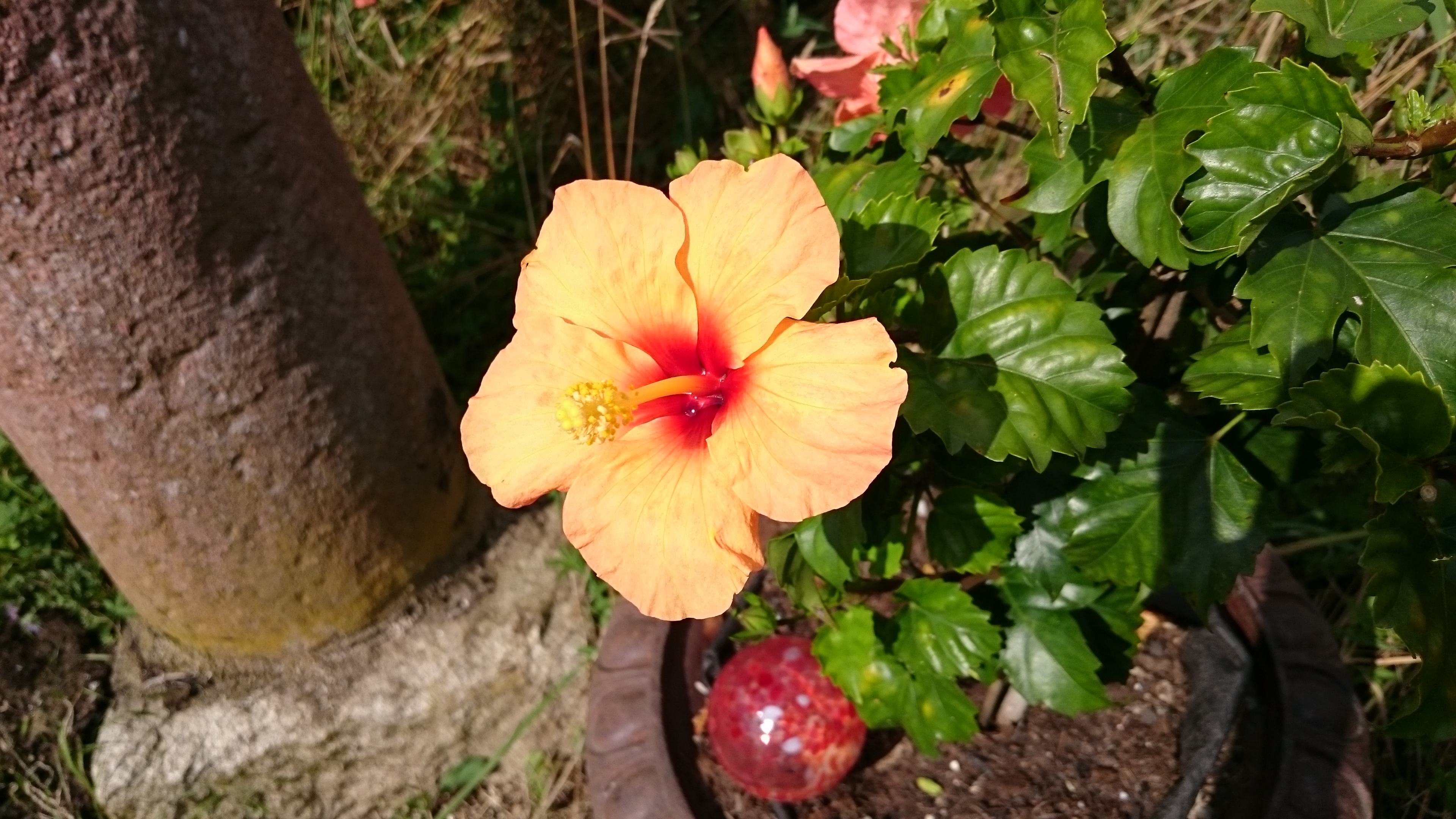 Link zu meinem Youtube-Film: Prayer. Bitte 1x klicken!