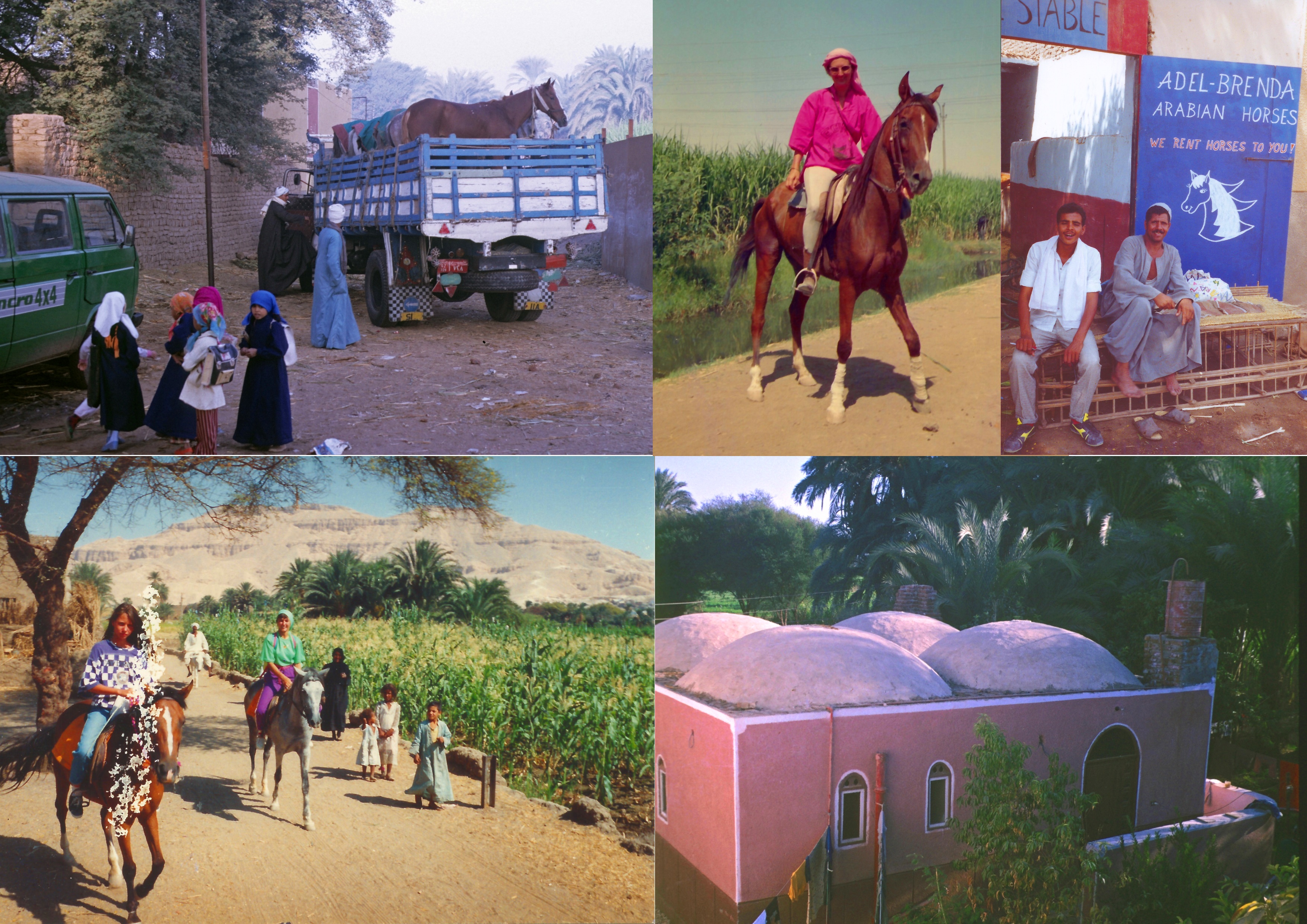 Film-Trailer english: Stall in Luxor heute!